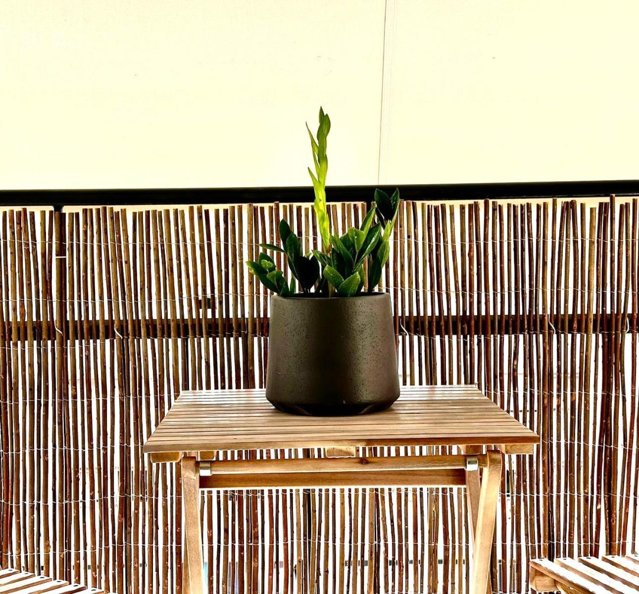 Marcus New Stylish Apt At The Heart Of Atena Exterior foto